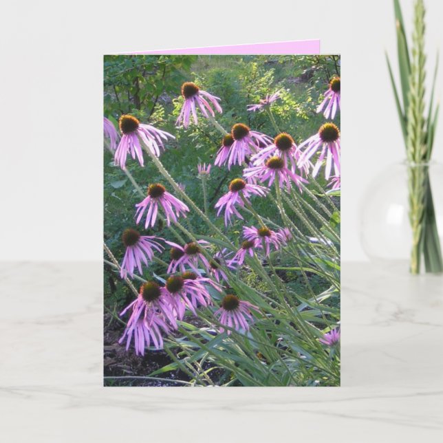 Greeting Card - Coneflowers (Front)