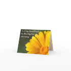 Greeting Card - Daisy First Anniversary