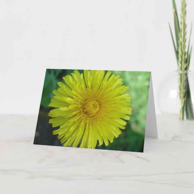 Greeting Card - Dandelion (Front)