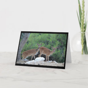 Greeting Card Deer-Tarjeta de felicitacion Ciervos