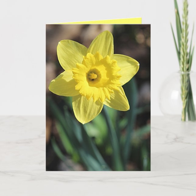 Greeting Card for Spring! (Front)