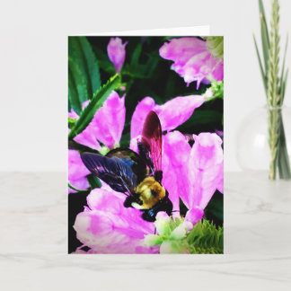 Greeting Card from the Bee's Eyes Collection