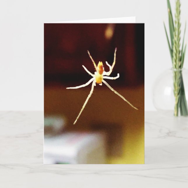 Greeting card from the Lil' Monsters Collection (Front)