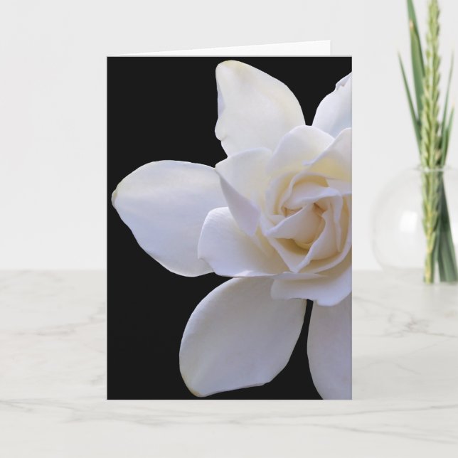 Greeting Card - Gardenia on Black (Front)