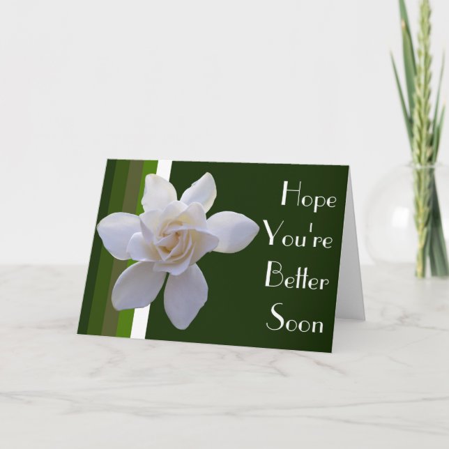 Greeting Card - Gardenia on Stripes (Front)