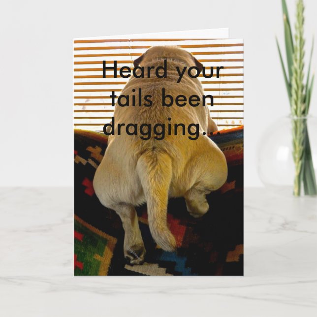 Greeting Card - Get Well - Puppytale (Front)