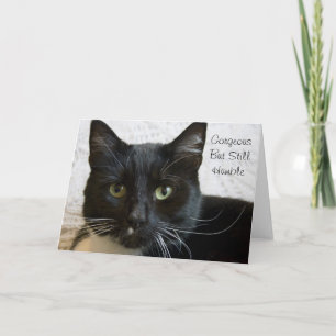 Greeting Card: Gorgeous Cat Card
