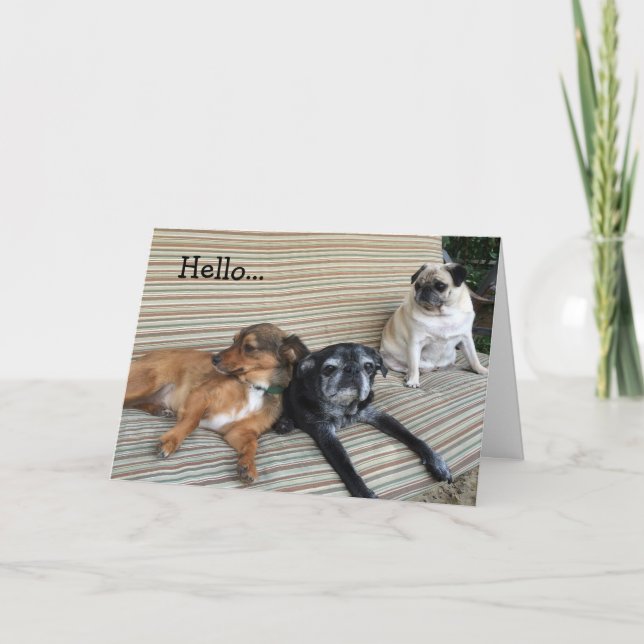 Greeting card: Hello/Wish you were here Card (Front)