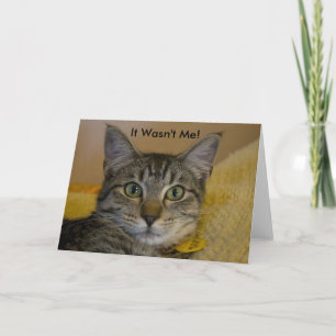 Greeting Card: It Wasn't Me Cat Card