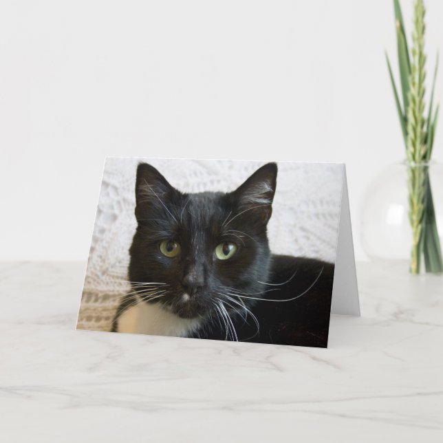 Greeting Card: Lilly Card (Front)