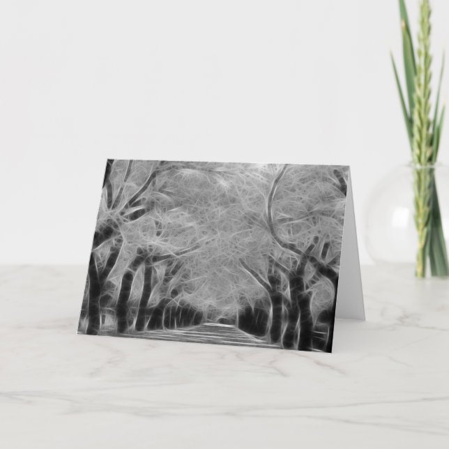 Greeting Card - Live Oak Alley (Front)