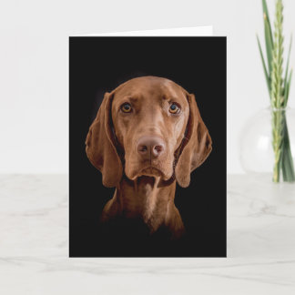 Greeting Card  "Magyar Vizsla"