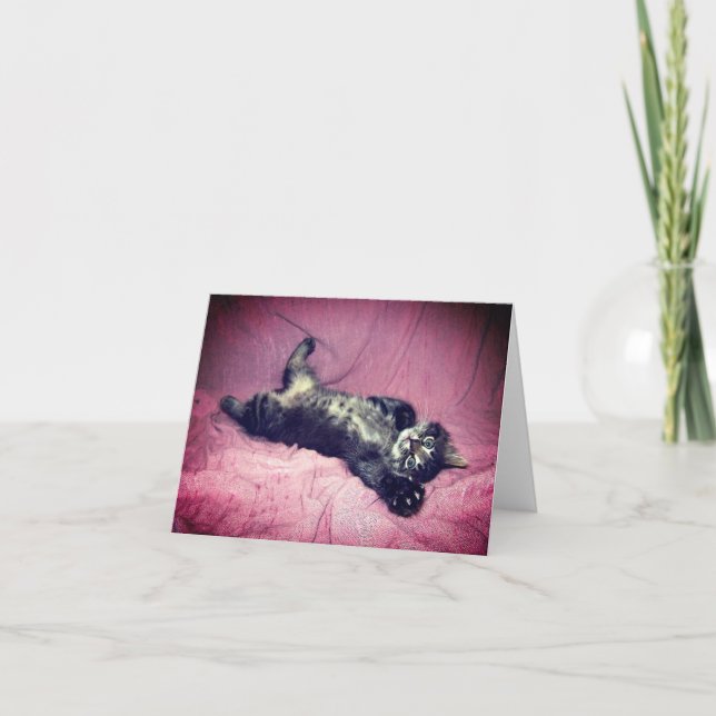 Greeting Card Maine Coon Cat Kitten (Front)