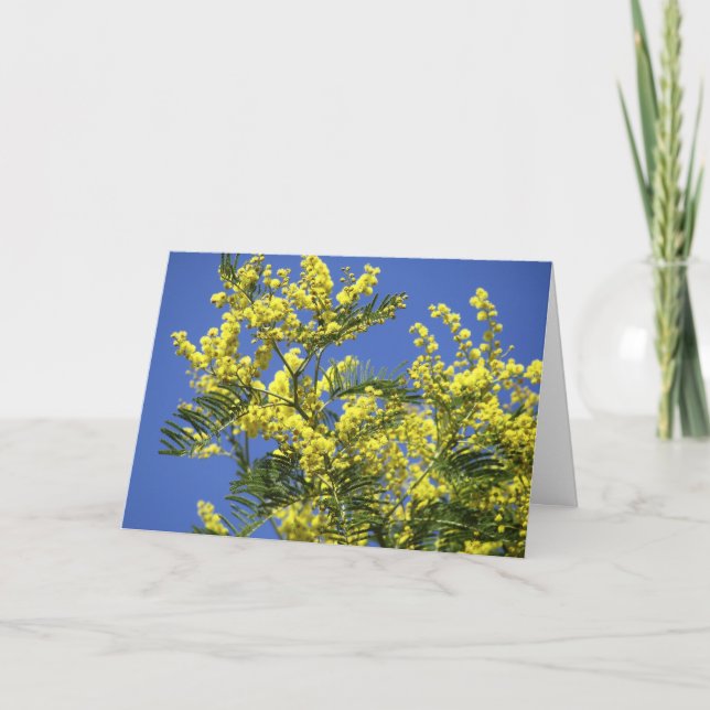 Greeting card : mimosa flowers (Front)