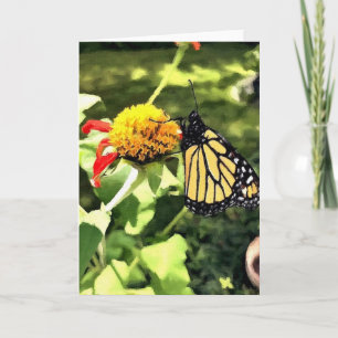 Greeting Card Monarch on Tithonia