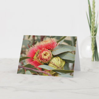GREETING CARD - Native Australian Eucalyptus