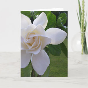Greeting Card - Naturally Gorgeous Gardenia