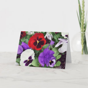 GREETING CARD: Pansies Card