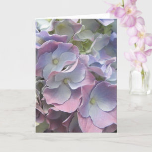 Greeting Card - Pastel Rainbow Hydrangea