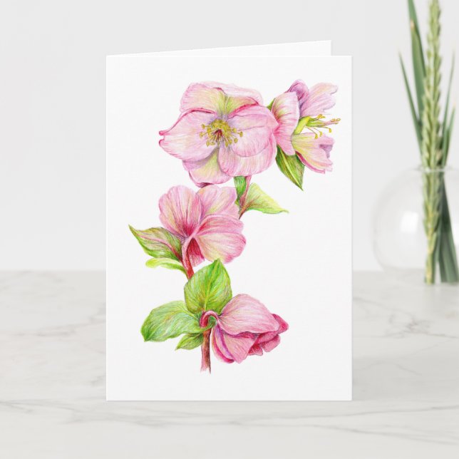 Greeting Card - Pink Hellebore Flower (Front)