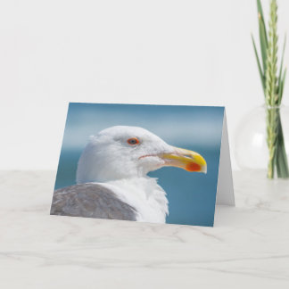 Greeting Card - Regal Seagull