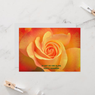 greeting card Rose flower