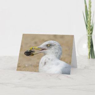 Greeting Card - Seagull with Mussel