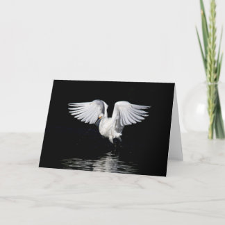 Greeting card - Snowy egret
