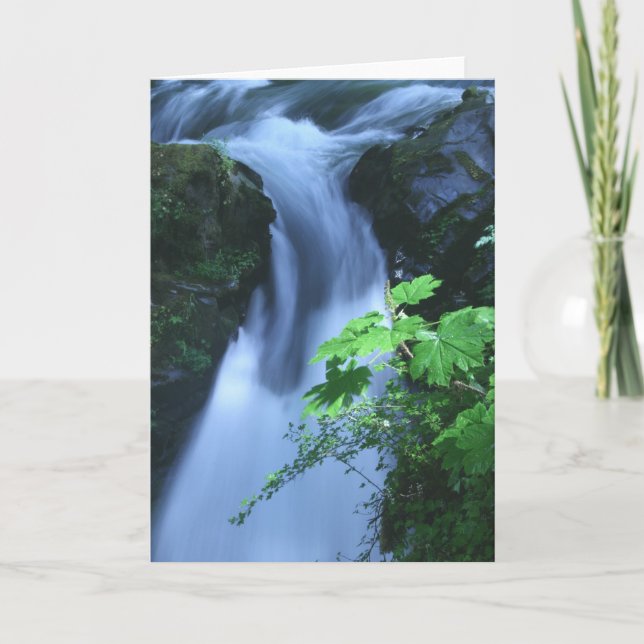Greeting Card: Sol Duc Falls Card (Front)