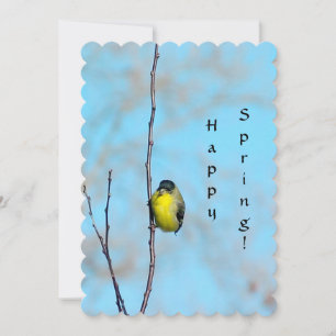 Greeting Card - Spring Finch