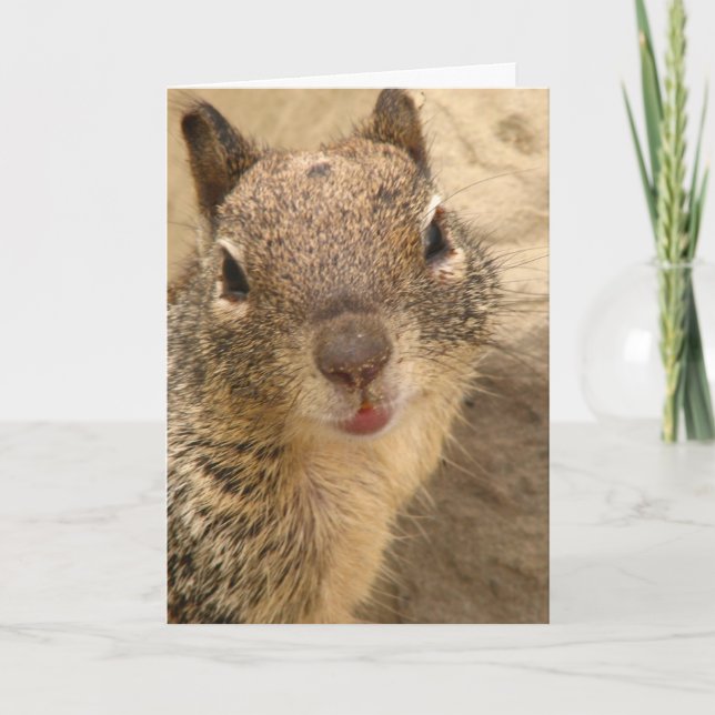Greeting Card - Squirrel (Front)
