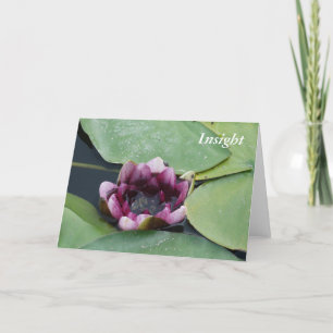 Greeting Card, Standard white envelopes included Card