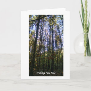 Greeting Card - Summer Walk on Pine Lake