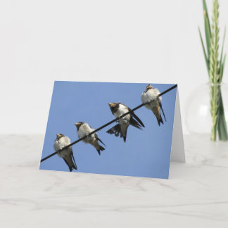 Greeting card : swallow chicks on a cable