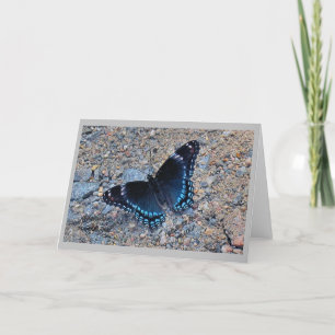 Greeting Card  - Swallowtail Butterfly
