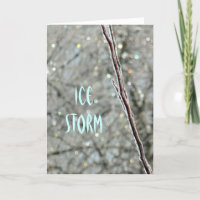 Greeting Card, "THE ICE STORM CAME" (PHOTOGRAPHY)
