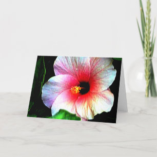 GREETING CARD The MUSEUM Zazzle Gifts Hibiscus 72