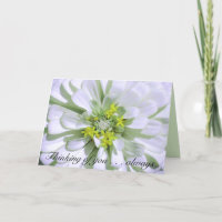 Greeting Card-Thinking of you-Lemony White Zinnia