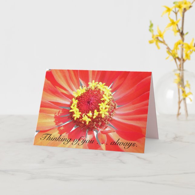 Greeting Card - Thinking of You - Red Zinnia (Yellow Flower)