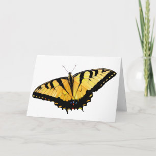 Greeting Card Tiger Swallowtail