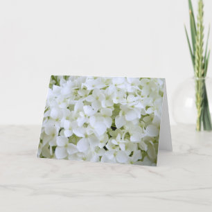 Greeting Card - White Hydrangea