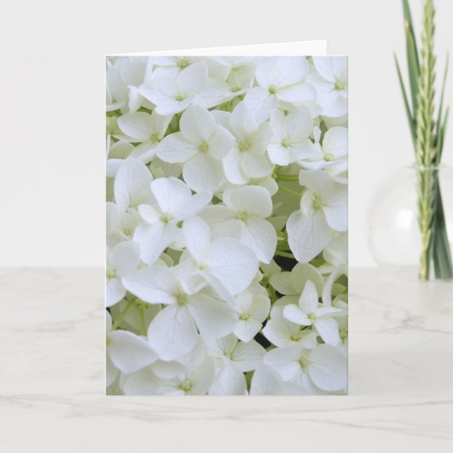 Greeting Card - White Hydrangea (Front)