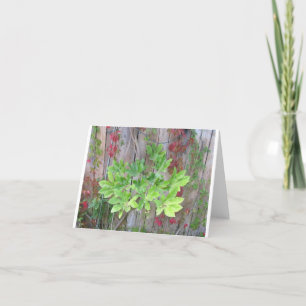 Greeting card with beautiful leaves on a fence. 