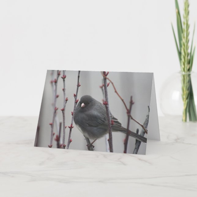 Greeting card with bird in a tree (Front)