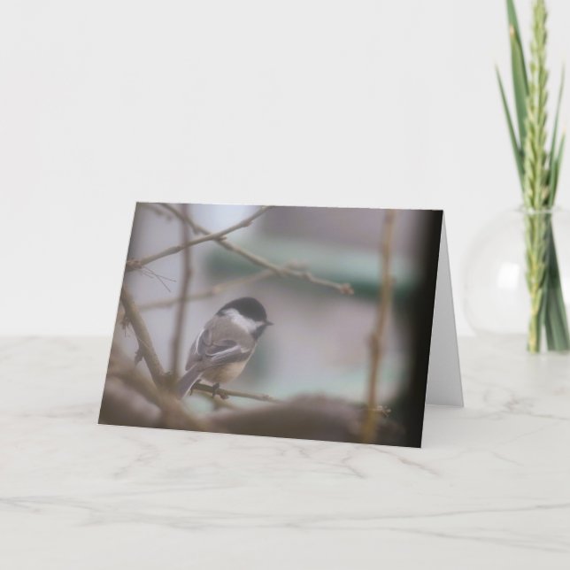Greeting card with chickadee (Front)