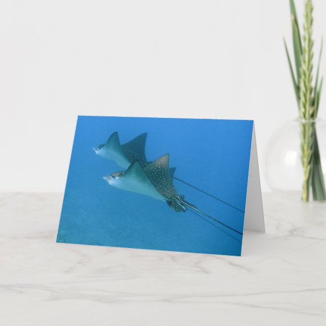 Greeting Card with Ocean Eagle Rays Maui (Front)