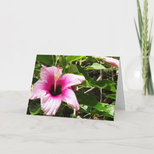 Greeting card with pink floral cover