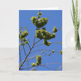 Greeting card with tree leaves shaped like heart