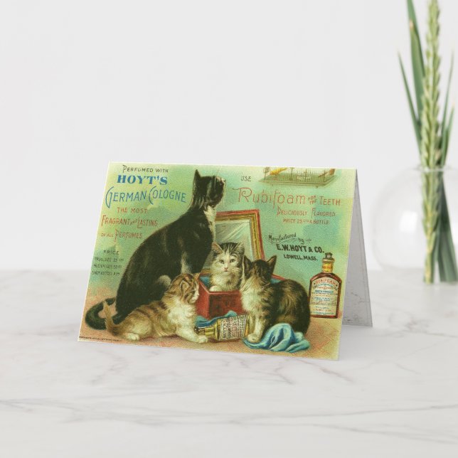 Greeting Card with Vintage Illustration of Kittens (Front)