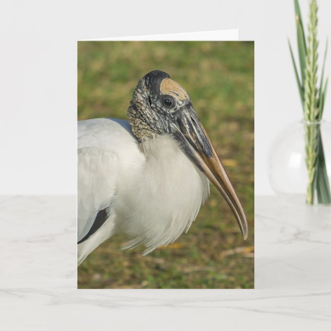 Greeting Card - Wood Stork Profile (Front)